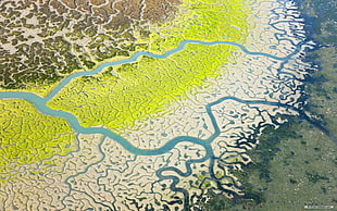 top view of water covered with paint, water, river, nature