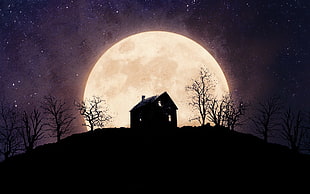 silhouette of house and bare trees under moon and starry sky