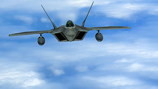 black and gray metal equipment, air force, F-22 Raptor, aircraft HD wallpaper