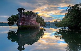 brown ship and green trees, Sydney, Australia, ship, water