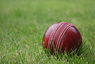 red cricket ball, sports, balls, cricket HD wallpaper