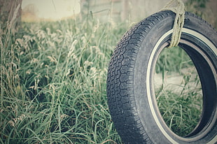 vehicle tire swing, Tire, Rope, Grass HD wallpaper
