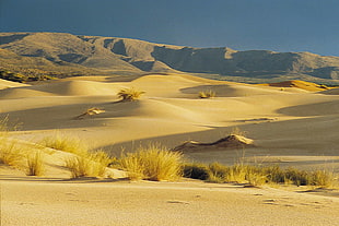 desert during daytime, witsand, africa