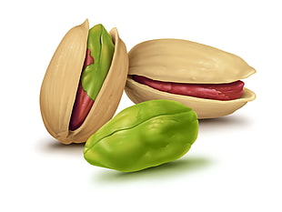 illustration of green vegetable