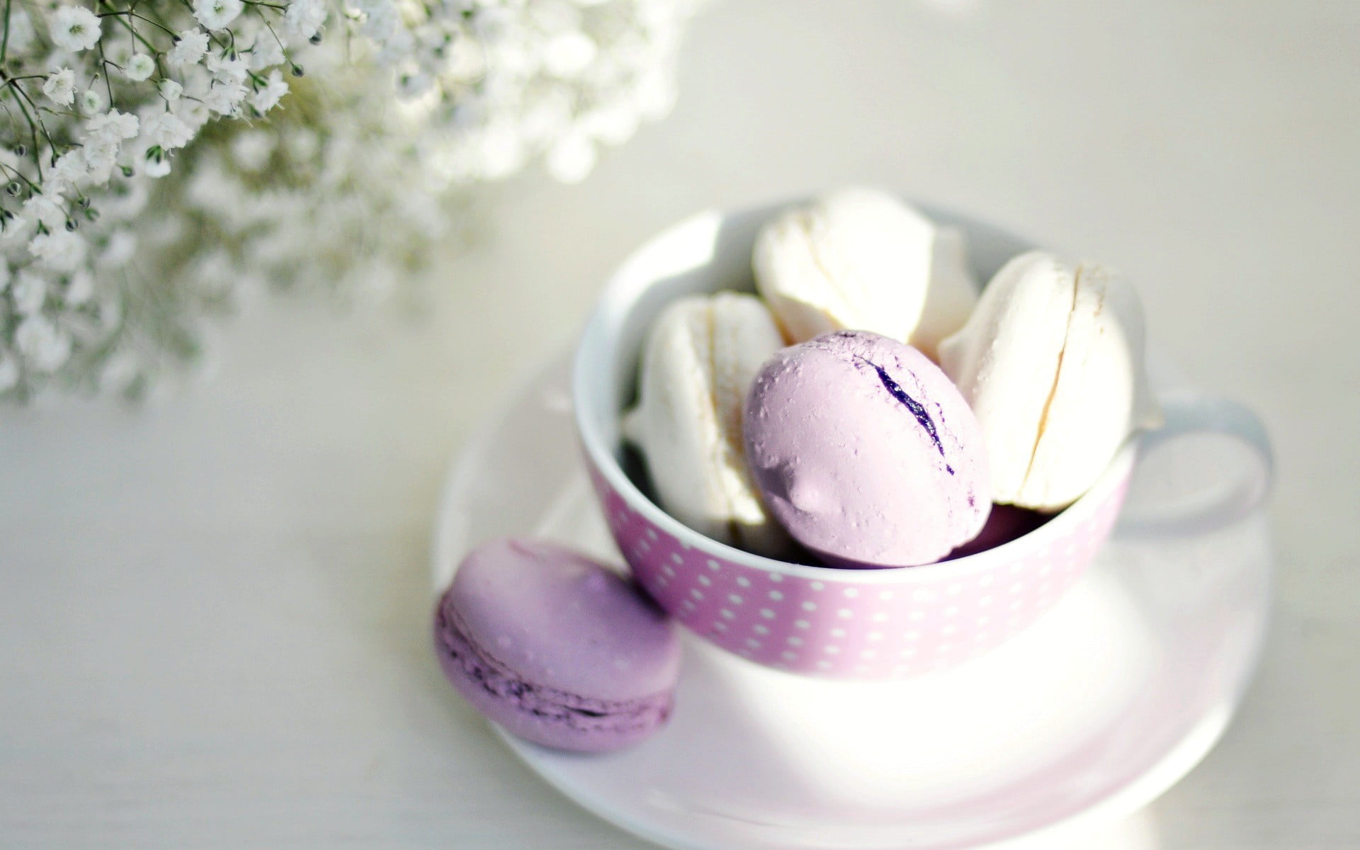 served food on white ceramic teacup