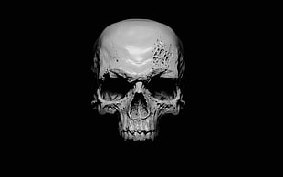 white human skull