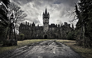 photograph of black castle