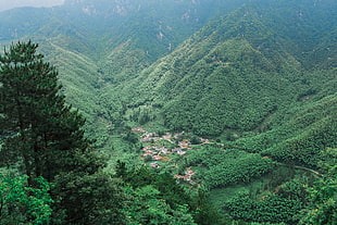 green mountains, Mountains, Trees, Top view