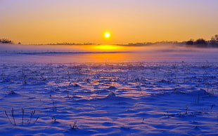 snow covered field during golden hour