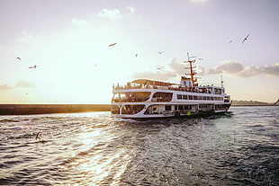 white cruise ship, sailing ship, boat, sea, Istanbul HD wallpaper