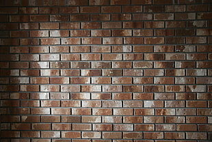 photography of brown concrete wall