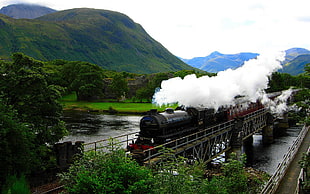 black and maroon train and railway, steam locomotive, trees, train, valley HD wallpaper