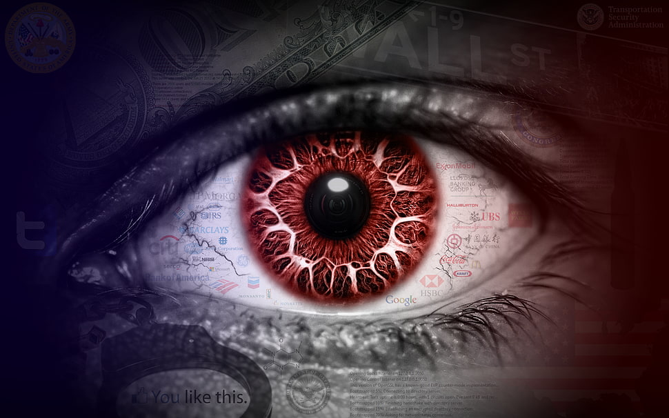 left human eye illustration HD wallpaper