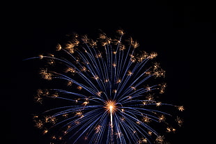brown fireworks display, Salute, Fireworks, Holiday