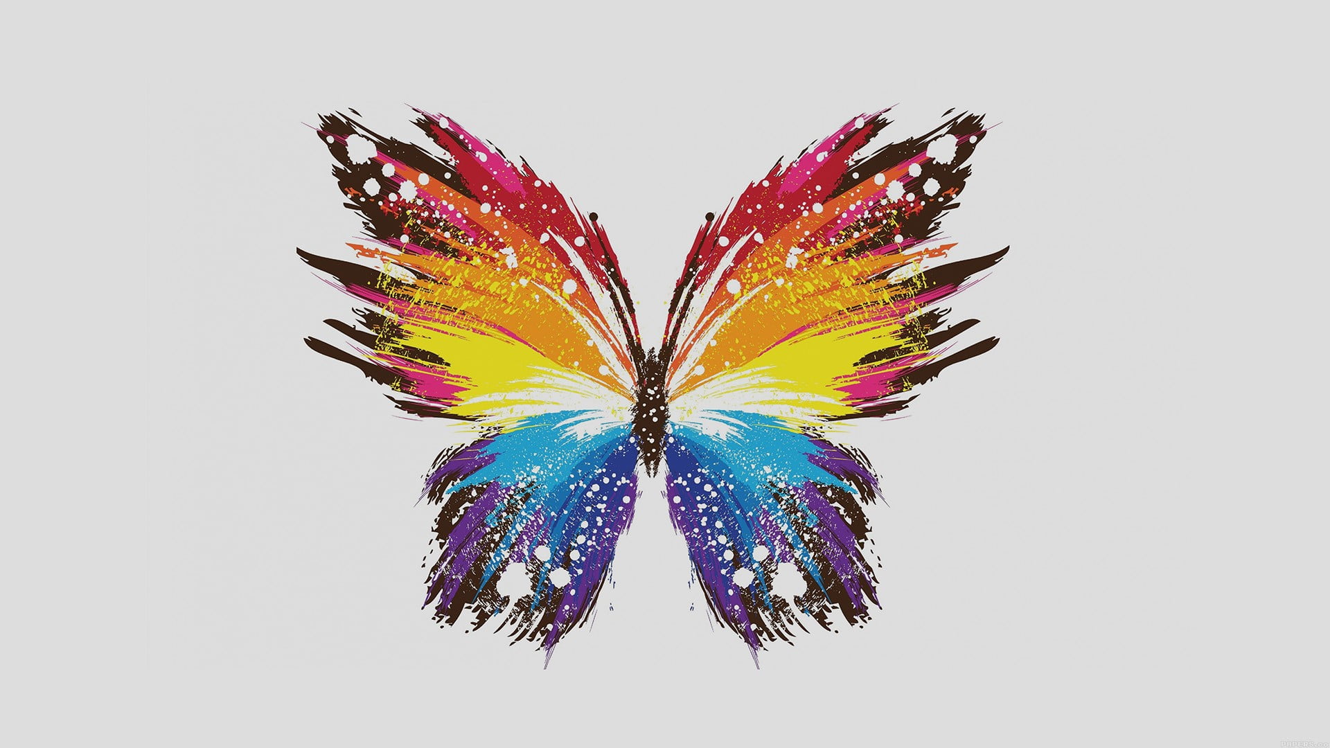 red, yellow, orange, and blue butterfly digital wallpaper, digital art, simple background, minimalism, butterfly
