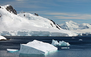 white iceberg, iceberg, water, nature, ice HD wallpaper
