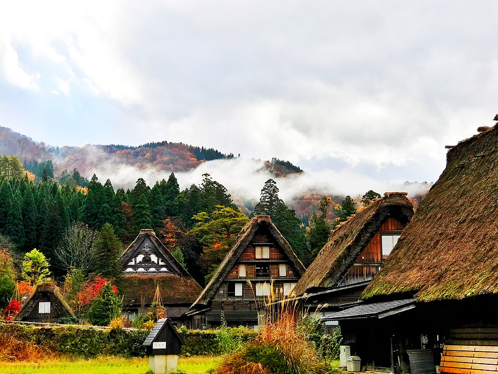 Japan,  Shirakawa,  Houses,  Mountains HD wallpaper