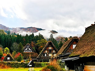 Japan,  Shirakawa,  Houses,  Mountains HD wallpaper