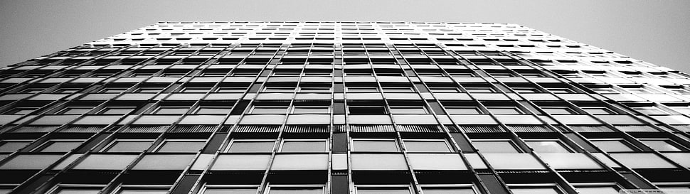 worms eyeview of building, building, monochrome HD wallpaper
