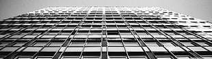 worms eyeview of building, building, monochrome