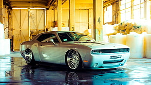 silver Dodge Challenger HD wallpaper