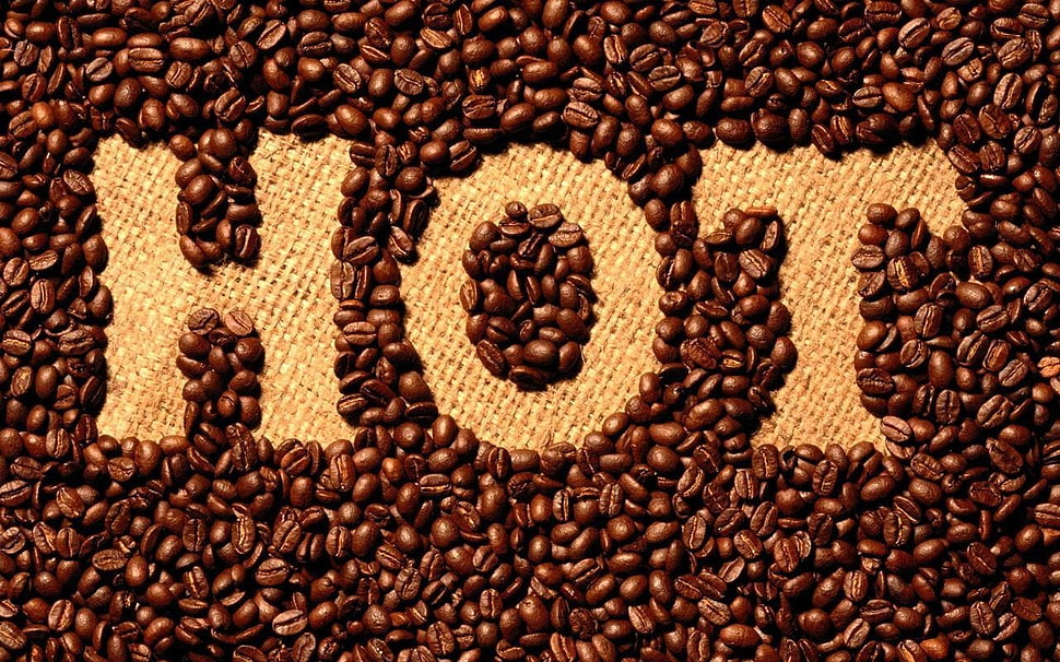 coffee beans, coffee, drink, coffee beans HD wallpaper