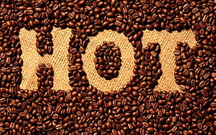 coffee beans, coffee, drink, coffee beans HD wallpaper