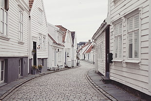 photography of  white houses