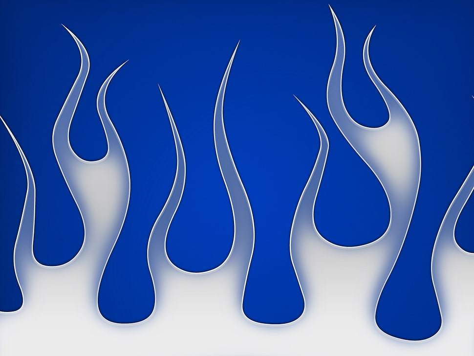 white and blue graphics HD wallpaper
