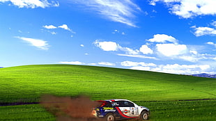 white and blue car, Windows XP, Colin McRae, ford focus, Rally