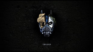 skull illustration, Batman, The Dark Knight, The Dark Knight Rises, Joker HD wallpaper