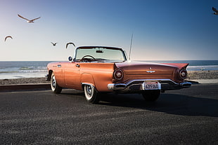 classic brown convertible coupe beside sea under blue and white sky