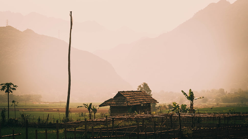 brown barn house, jungle, palm trees, Vietnam, straw HD wallpaper