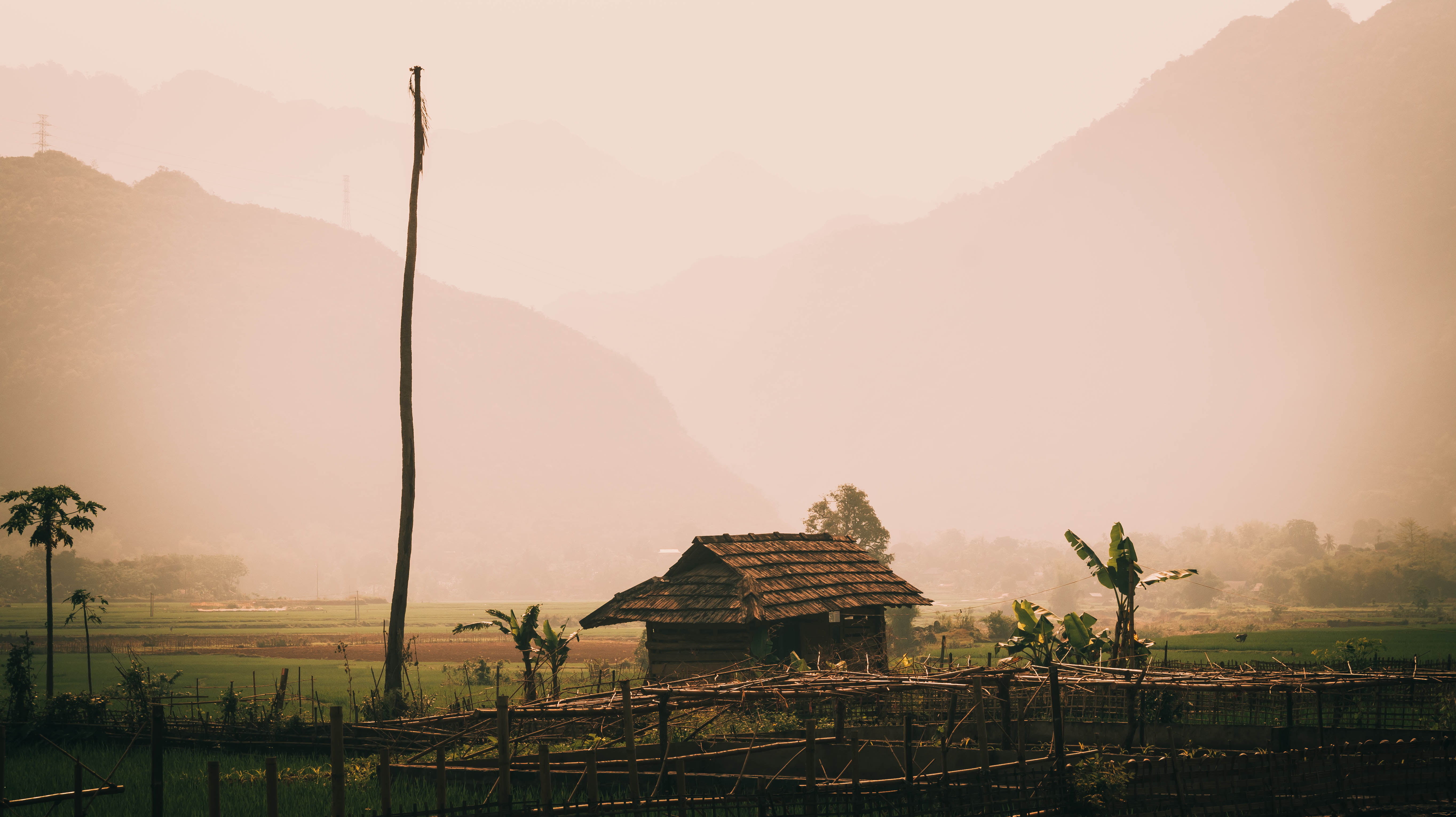 brown barn house, jungle, palm trees, Vietnam, straw