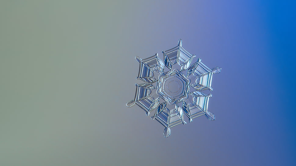 clear snow flake HD wallpaper
