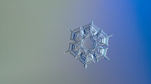 clear snow flake HD wallpaper