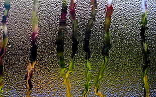 Rain,  Glass,  Window,  Water HD wallpaper