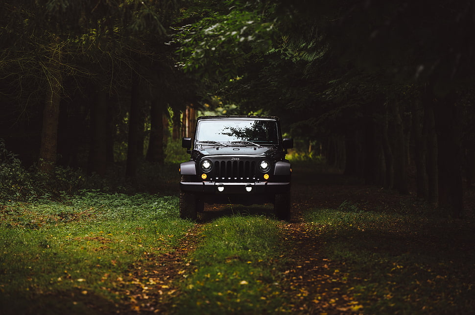 black Jeep Wrangler, Car, Suv, Front view HD wallpaper