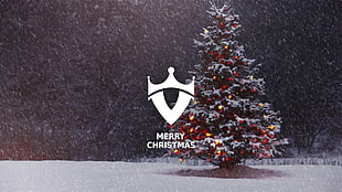 pine tree with Merry Christmas text overlay, Christmas, snow, Christmas Tree HD wallpaper