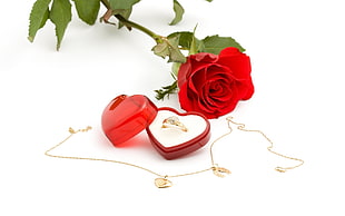 heart-shaped red ring box with gold-colored ring beside red rose flower