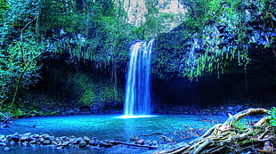 waterfalls, tropical water, tropical forest, Hawaii, isle of Maui HD wallpaper
