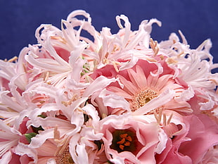 pink gerbera and white lilies arrangement