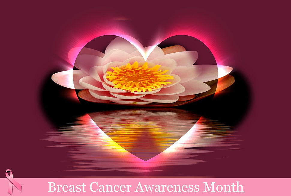 breast cancer awareness month illustration, Breast Cancer Awareness HD wallpaper