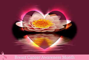 breast cancer awareness month illustration, Breast Cancer Awareness