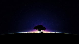 silhouette of tree, artwork, anime, sky, stars