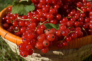 cherry in brown basket