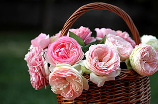 pink flowers in basket in tilt shift lens photography