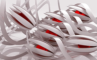 white and red flower buds digital wallpaper