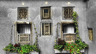gray concrete house, Iran, window HD wallpaper