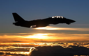 black monoplane, airplane, sunset, Grumman F-14 Tomcat, silhouette